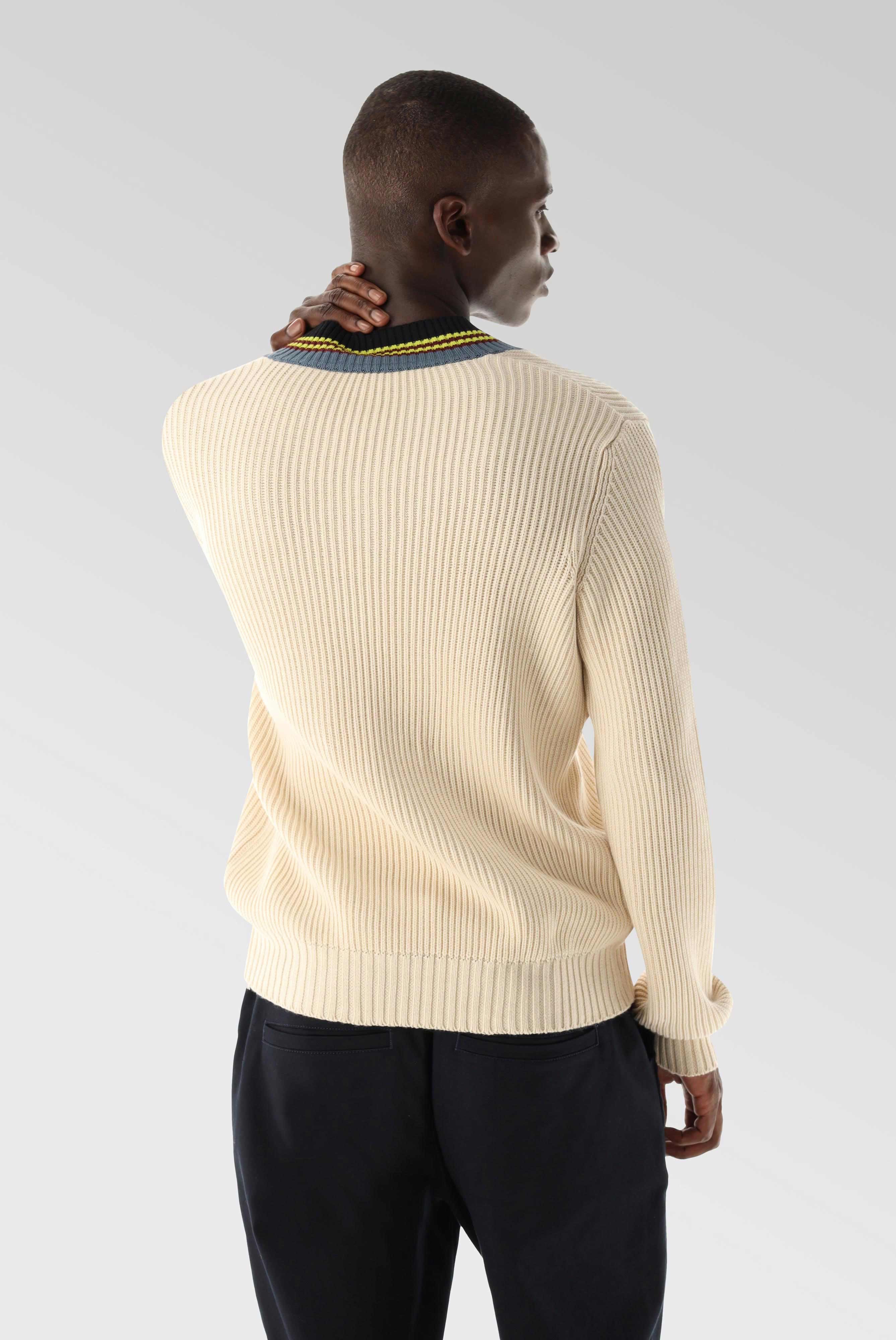 Sweaters & Cardigans+V-Neck Sweater with Stripe Detail+82.8629..S00242.110.L
