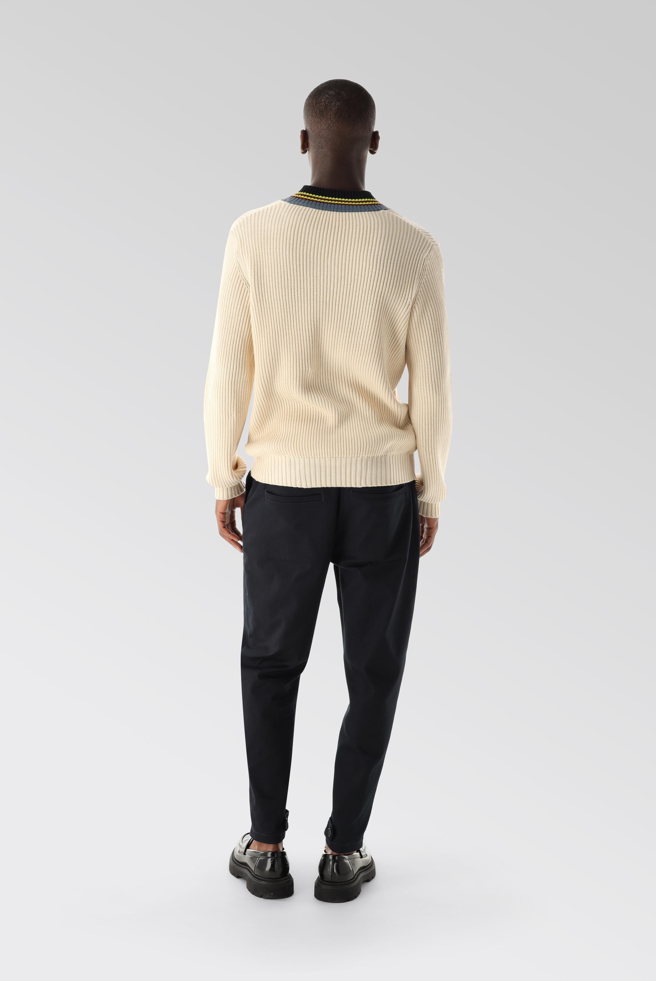 Sweaters & Cardigans+V-Neck Sweater with Stripe Detail+82.8629..S00242.110.L
